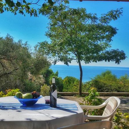 See View Apartment Budva Exterior photo